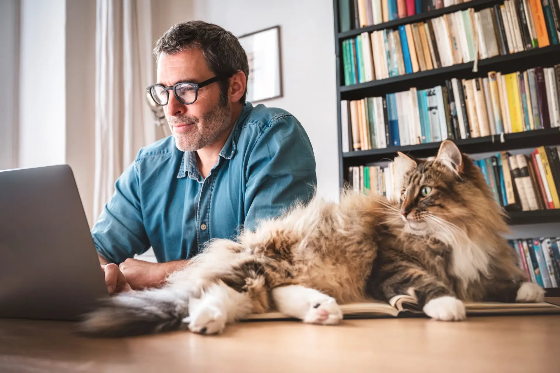 A man works at a laptop next to a cat resting on an open book in a bright room with bookshelves